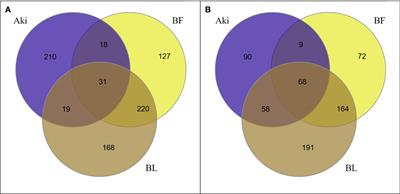 Grapevine response to a Dittrichia viscosa extract and a Bacillus velezensis strain